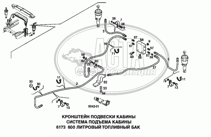 Сильный от природы | Ивеко (Iveco)