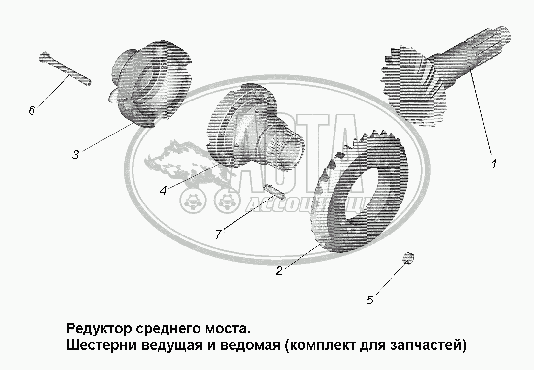 Редуктор среднего моста. Шестерни ведущая и ведомая комплект для запчастей.  для грузового автомобиля МАЗ-543403, 641705, 641708