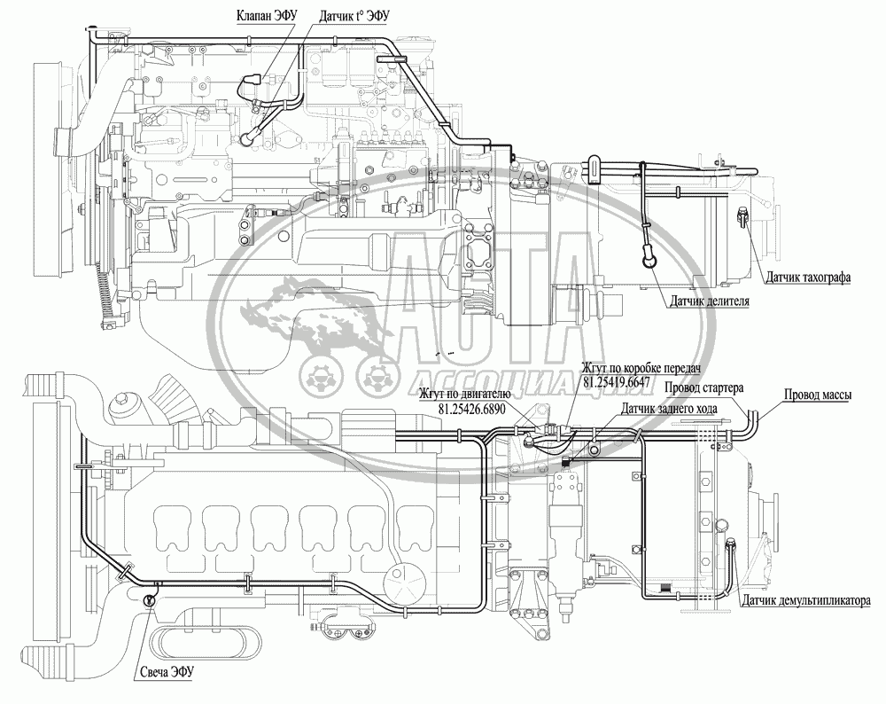 Монтаж жгута по двигателю для грузового автомобиля МАЗ-551669