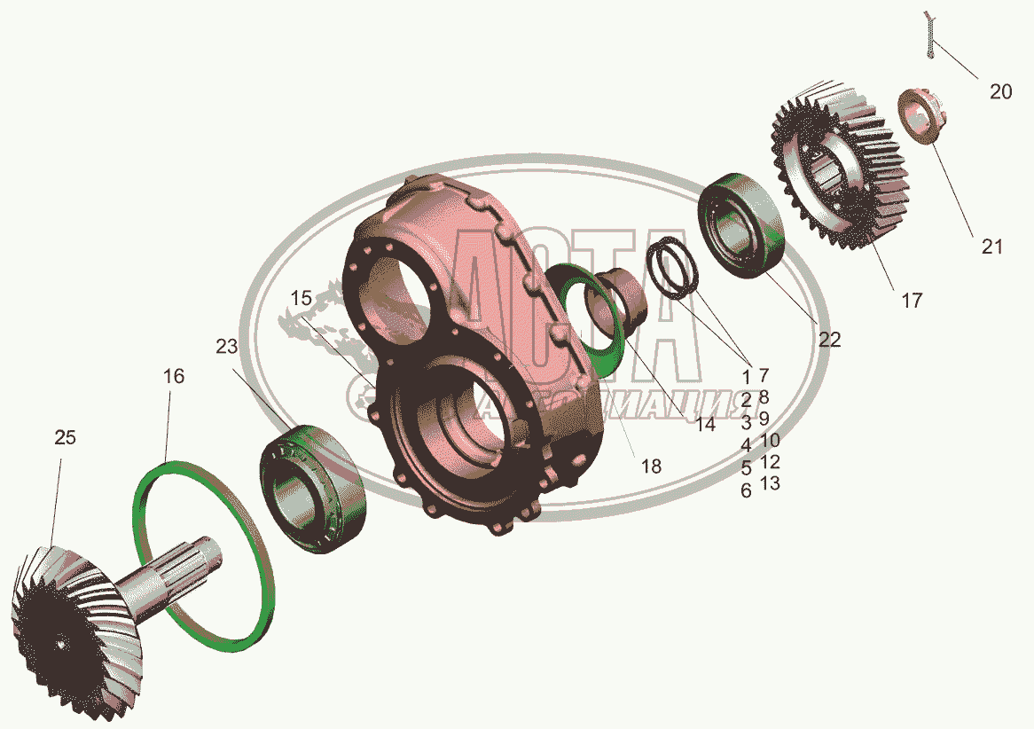 Шестерня ведущая для грузового автомобиля МАЗ-6501B9